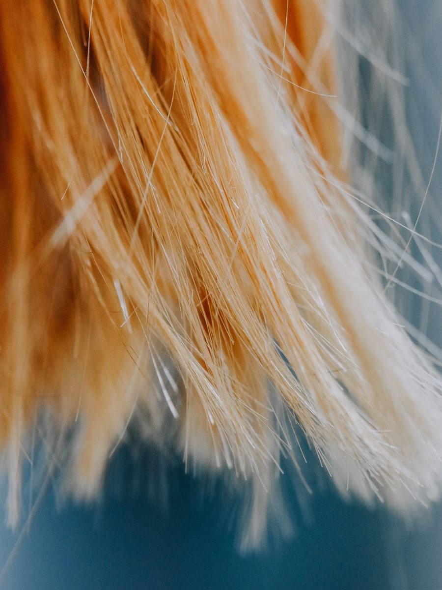 Balayage-Strähnentechnik in warmen Blondtönen
